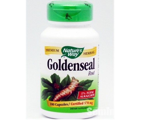 히드라스티스 카나덴시스(Hydrastis Canadensis; 일명 골든실)추출물 제품