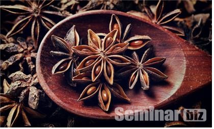 아니스 또는 팔각(Star Anise, 학명; Illicium verum Hook.f)