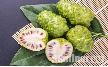 노니. (학명은 Morinda Citrifolia)