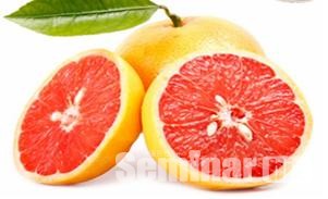 자몽과 씨앗(자몽학명; Citrus paradisi Macf)