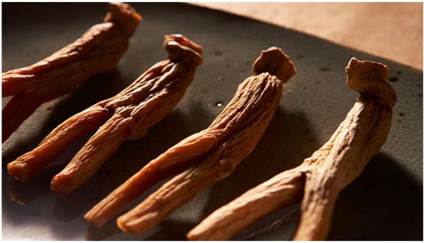 홍삼(Red Ginseng)