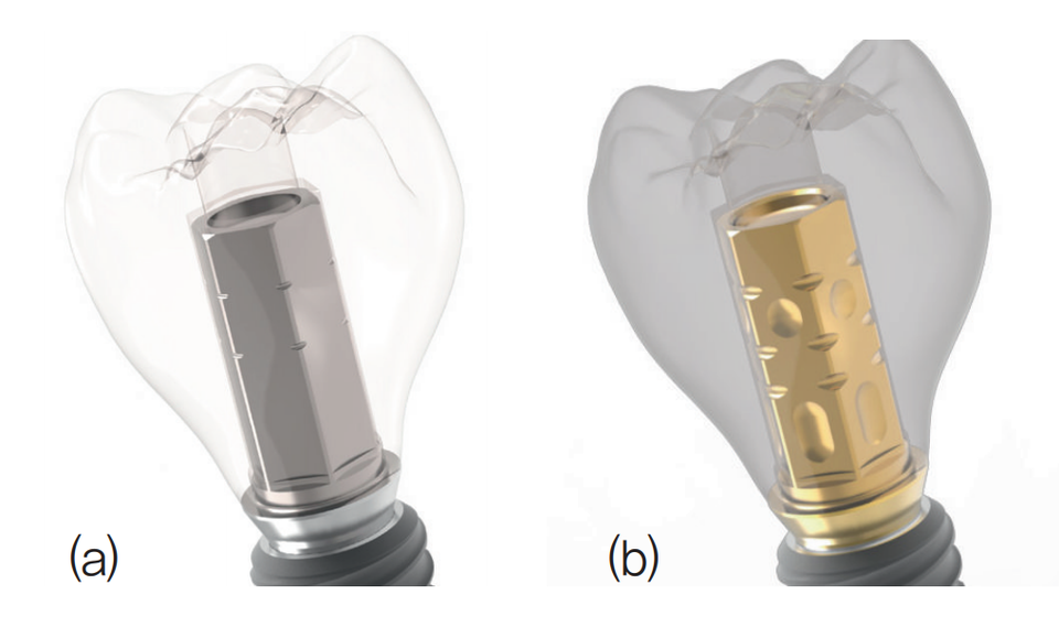 그림 3. (a) 2세대 HERI 지대주와 보철 이미지, (b) 3세대 HERI 지대주와 보철 이미지