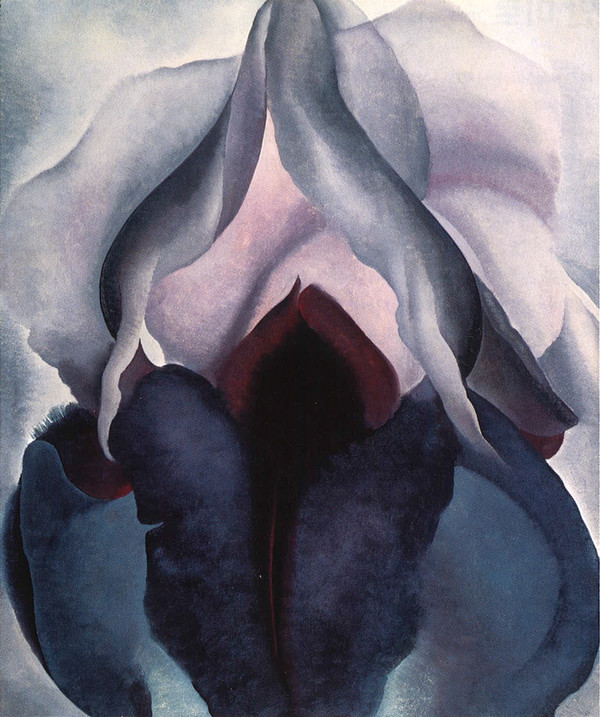 [검은 붓꽃]  1926, 캔버스에 유채, 91.4×75.9cm, 뉴욕 메트로폴리탄 미술관