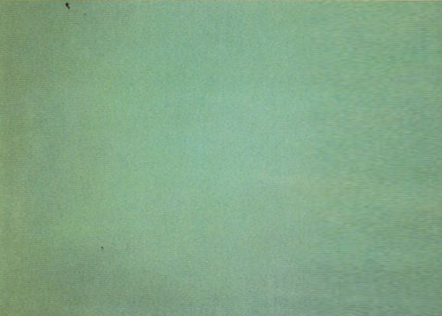 작은 숲의 무리 Ⅲ 1973. 캔버스에 왁스와 유채, 183×274.5cm, 뉴욕, 매투막스갤러리