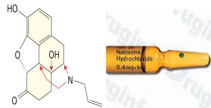 날록손 (Naloxone)