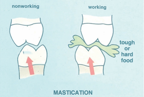 △  (그림 57) 저작 시 작업측과 비작업측의 모습.