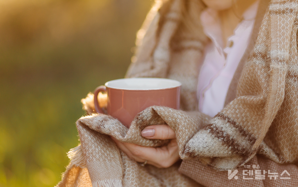 코코샤넬과 같은 독창적임 덴탈뉴스에도 있다. 